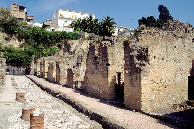 Naples: Pompeii, Herculaneum, and Vesuvius Tour by Minivan - Pickup in Naples: Getting Started Smoothly (and What to Watch)