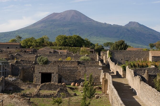 Naples: Pompeii & Herculaneum Day Trip – Small Group Tour - Herculaneum (Ercolano) for About 1.5 Hours: Smaller Site, Different Feel