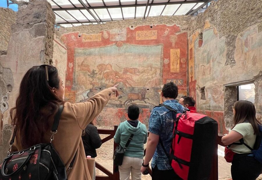 Naples: Pompeii & Mt. Vesuvius Day Trip with Tickets & Lunch - Key highlights to know before you go