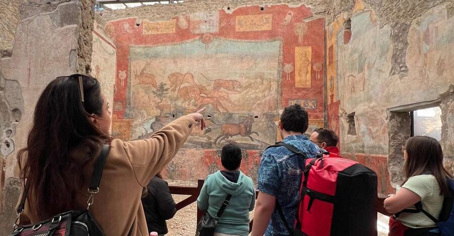 Naples: Pompeii & Mt. Vesuvius Day Trip with Tickets & Lunch - Skip-the-line tickets: the real value of this day trip