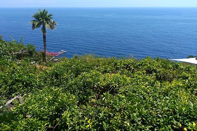 Naples port tour Sorrento and pompeii and overview of positano - Pompeii Archaeological Park: guided time that saves you from confusion