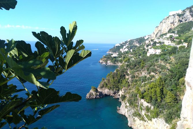 Naples port tour Sorrento and pompeii and overview of positano - Price and value: when $708.90 makes sense