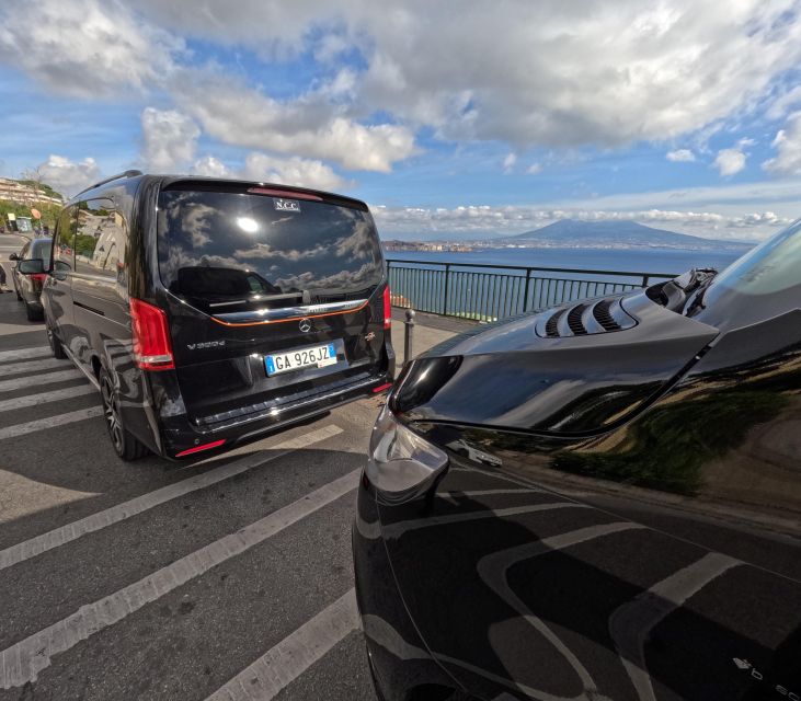 Naples Private Tour with driver and tour guide - Best Fit: Who Should Choose This Tour?