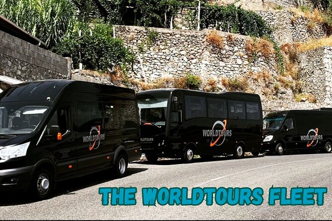 Naples/Salerno Port: Pompeii & Sorrento - Shore Excursion - Price and Value at $110.78: What You’re Actually Paying For