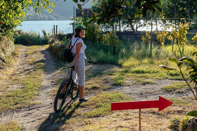Naples Scenic E-Bike Ride to a Local Vineyard with Meal - Pace, distance, and how hard it really is