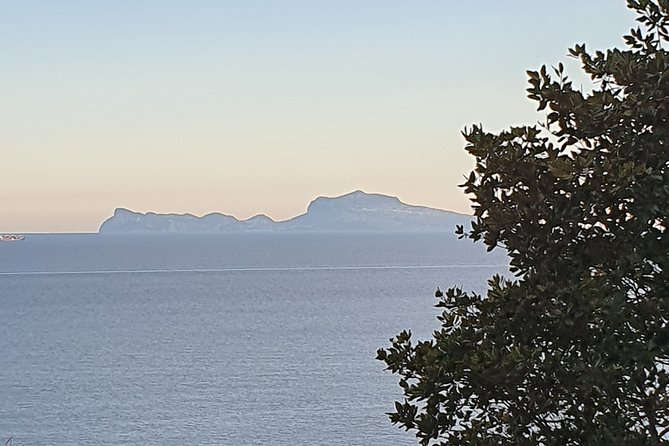 Naples Shore Excursion: Capri Day Trip with Lunch from Naples - Key things to know before you go