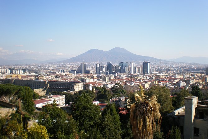 Naples Shore Excursion: Mt Vesuvius Half-Day Trip from Naples - The Climb to 1,200 Meters: Crater Views Start Before the Top