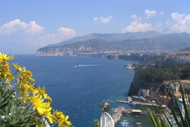 Naples Shore Excursion: Pompeii and Sorrento Day Trip - Key things to know