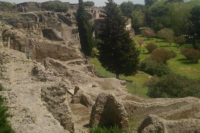 Naples Shore Excursion: Pompeii Half Day Trip from Naples - Shared minibus reality: why waiting can happen even when everyone’s trying