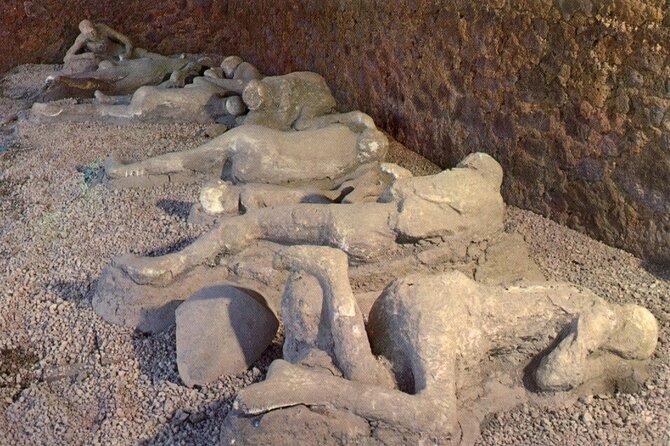 Naples Shore Excursion: Pompeii Independent Half-Day Trip - The 7:45 Start and the AC Ride You Actually Need