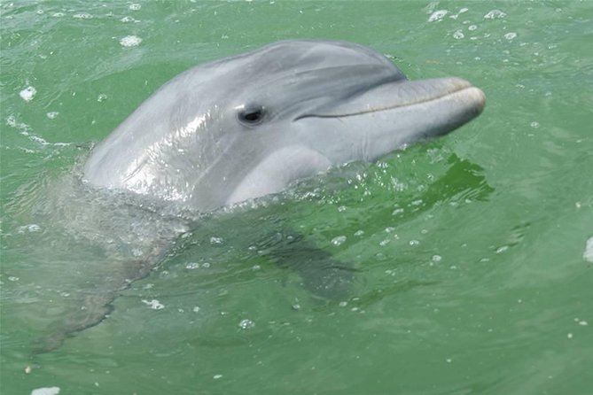 Naples Sightseeing Boat Tour - Gordon River to the Gulf: Mansions, Keewaydin, and Real Photo Opportunities