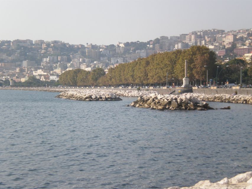 Naples Sightseeing Tour for Small Groups - Plebiscite Square, the Royal Palace Front, and Teatro San Carlo Area