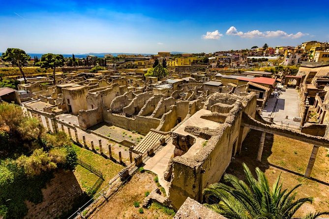 Naples to Pompeii direct transfer (or viceversa) - One-way transfer or round trip with 3 hours at Pompeii