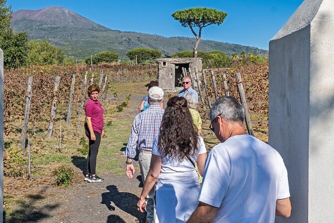 Naples: Tour of Mt Vesuvius and Pompeii w/ Lunch & Wine tasting - Who this tour suits best (and who should rethink it)