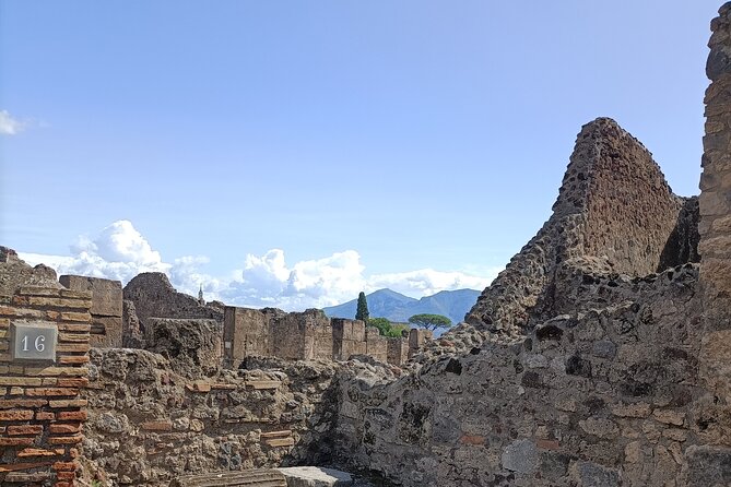 Naples transfer to Pompeii guided tour and Back - Naples to Pompeii with an English driver: the “why this works” part