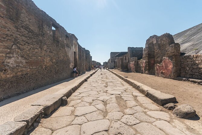 Naples transfer to Pompeii guided tour and Back - Entrance fee and time reality check: planning so you don’t feel rushed