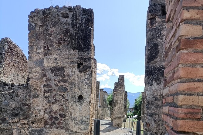 Naples transfer to Pompeii guided tour and Back - Who this Naples to Pompeii guided transfer suits best