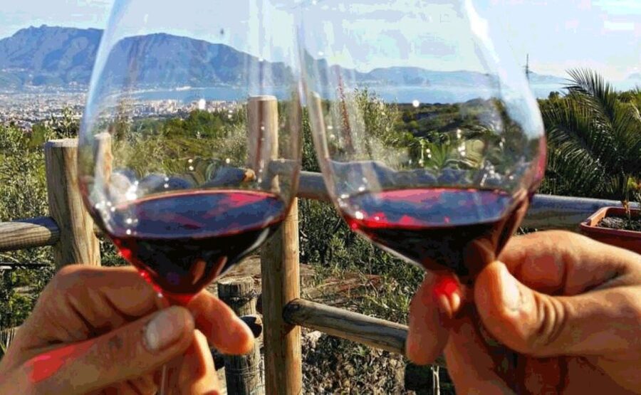 Naples: Vesuvius Half-Day Trip with Lunch and Wine Tasting - Timing and pace: how to feel good through the whole 4 hours