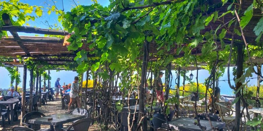 Naples: Vesuvius Half-Day Trip with Lunch and Wine Tasting - Who should book this Vesuvius half-day (and who should skip it)