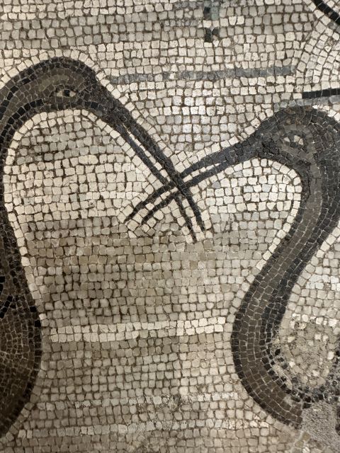 National Archaeological Museum of Naples Private Guided Tour - Why Naples MANN with a private archaeologist guide matters