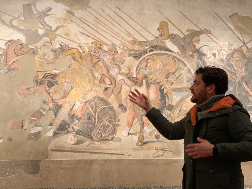 National Archaeological Museum of Naples Private Guided Tour - Mosaics and the Alexander the Great portrait connection