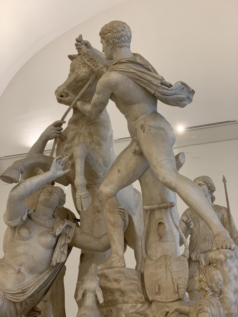 National Archaeological Museum of Naples Private Guided Tour - Battle of Osso and the stories behind Roman-era displays