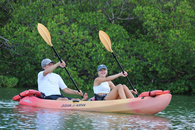 Nauti Exposures - Guided kayak tour through the Mangroves - Key highlights you’ll feel on the water