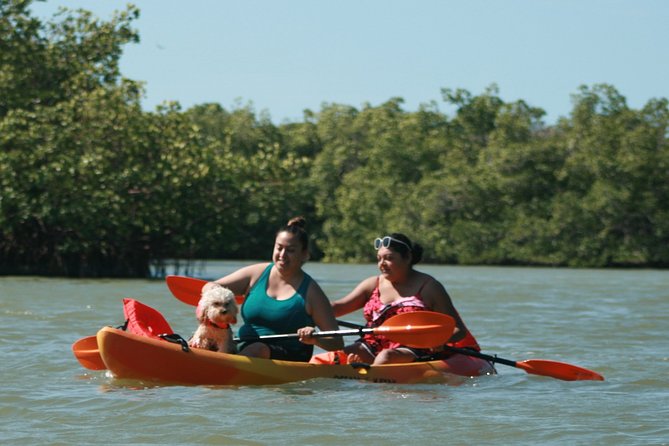 Nauti Exposures - Guided kayak tour through the Mangroves - Small-Group Paddling With EJ and Trey: How the Tour Works
