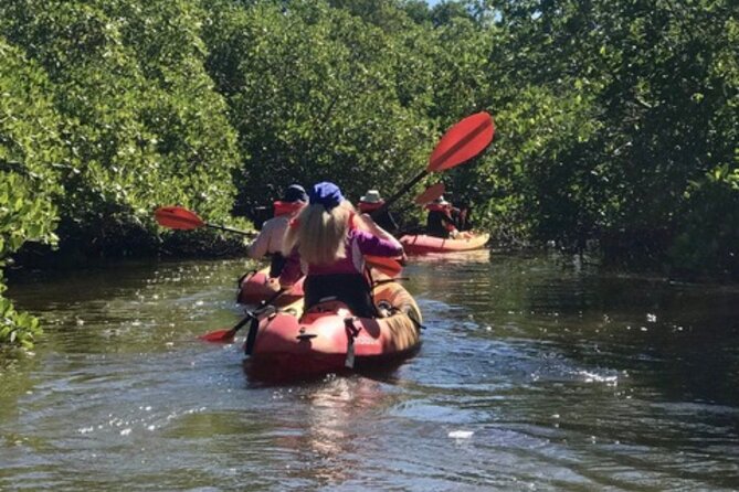 Nauti Exposures - Guided kayak tour through the Mangroves - Equipment and Included Value: Kayak, Dry Bag, and Safety Gear