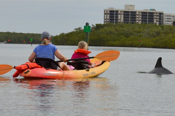 Nauti Exposures - Guided kayak tour through the Mangroves - Price and What You’re Getting for It