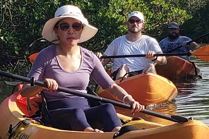 Nauti Exposures - Guided kayak tour through the Mangroves - Who This Tour Fits Best (and Who Should Rethink It)