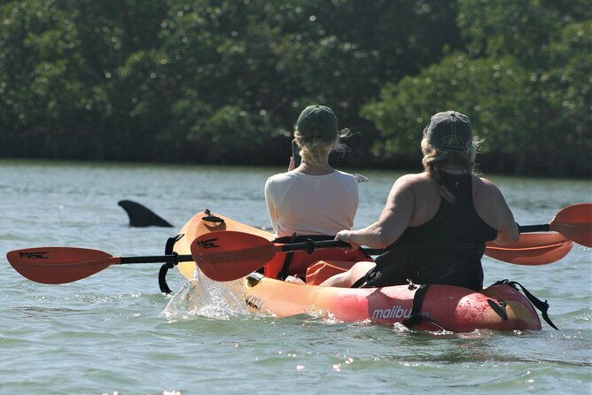 Nauti Exposures - Guided kayak tour through the Mangroves - Getting There and Meeting Point Details Without Headaches