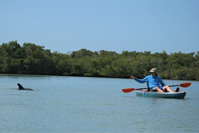 Nauti Exposures - Kayak rental Naples, FL - Getting To Cocohatchee River Park Marina: The Simple Naples Starting Point