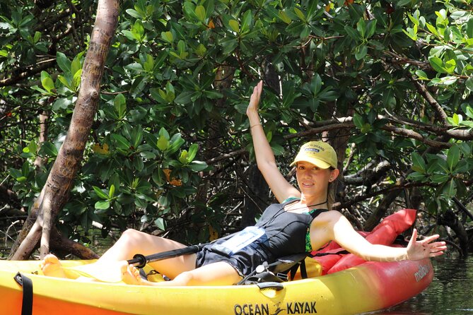 Nauti Exposures - Kayak rental Naples, FL - Single Kayaks On A Calm Water Route: How The Experience Flows