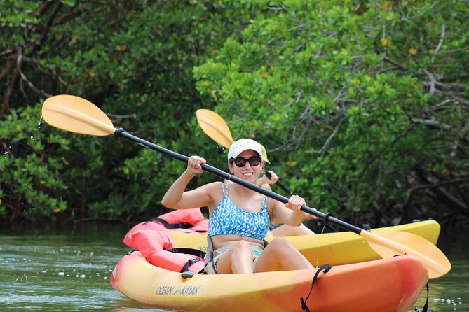 Nauti Exposures - Kayak rental Naples, FL - Dolphins, Manatees, And The Wildlife Reality Check