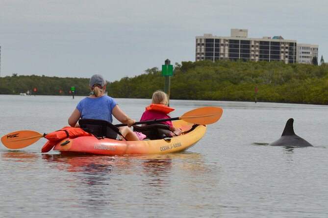 Nauti Exposures - Kayak rental Naples, FL - Where The Tour Takes You: Mangroves, Sun, And Beach Time
