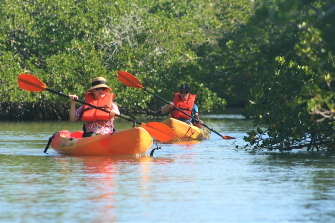 Nauti Exposures - Kayak rental Naples, FL - Timing And Heat: Why Morning Can Be Your Secret Weapon