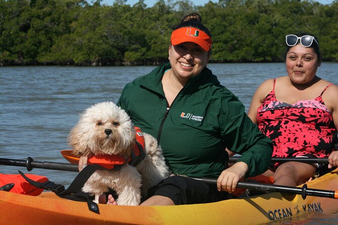 Nauti Exposures - Kayak rental Naples, FL - Mangrove Tunnel Moments And Bird Life: What You’ll Notice Most