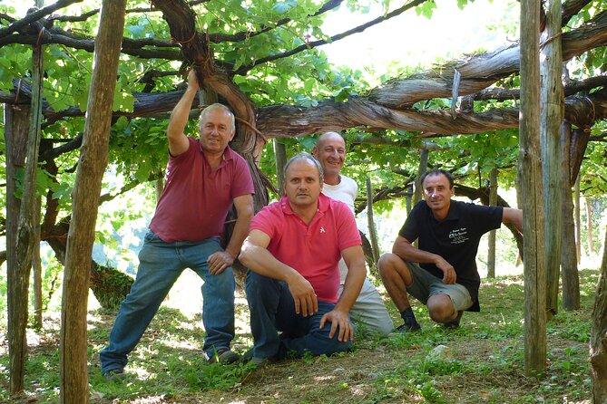 Official Ape Car & Wine Tasting - Amalfi Coast - Private tour value: price, pace, and what $445.87 buys