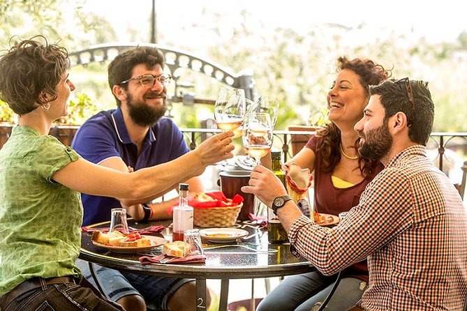 Organic Wine Tasting & Lunch on Vesuvius with Transfer from Naples - Key points to know before you go