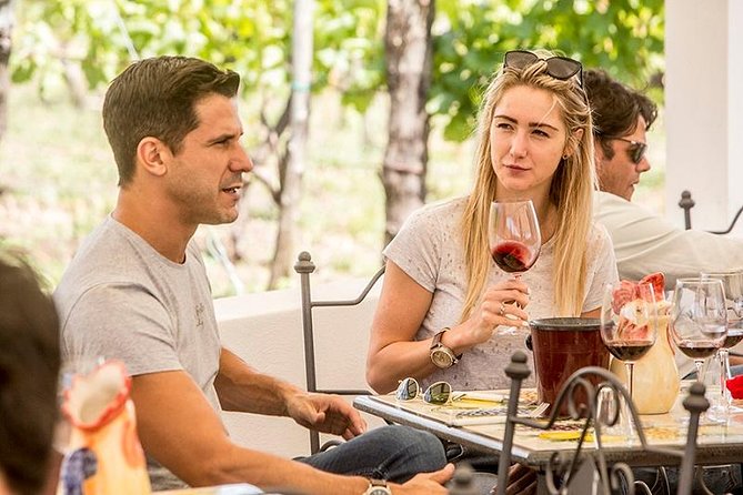 Organic Wine Tasting & Lunch on Vesuvius with Transfer from Naples - Cantina del Vesuvio: walking the vines before the first sip