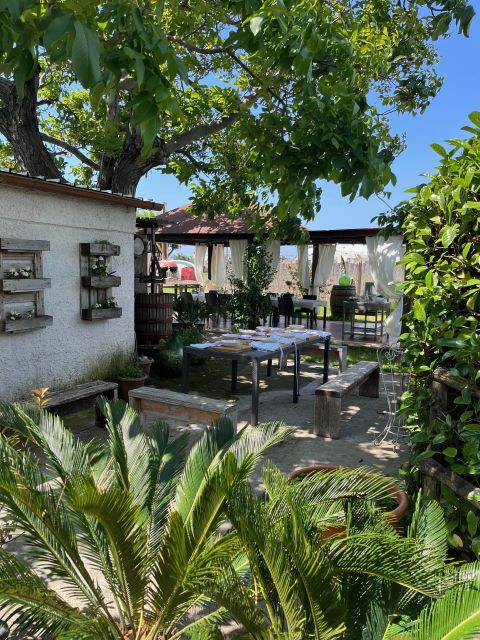 Pasta Cooking Class in a Garden near Pompeii - Who should book this class near Pompeii