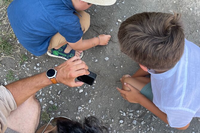 Pompei Adventure: A Tailored Tour for Families with Kids! - Price and value for a group of up to 8