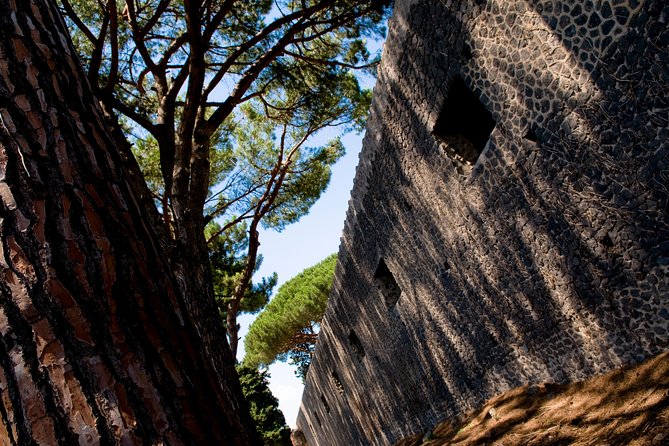 POMPEI Half Day TOUR - Departure from NAPLES Centre (TICKET INCLUDED) - Where you’ll be when the tour ends: back for lunch in Naples