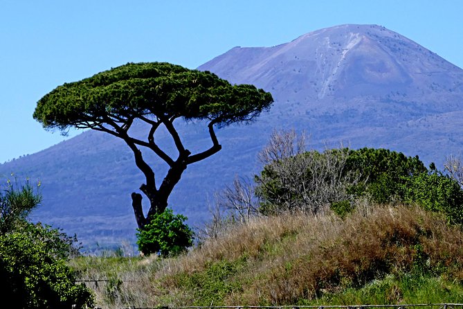 POMPEI Half Day TOUR - Departure from NAPLES Centre (TICKET INCLUDED) - Who this tour is best for