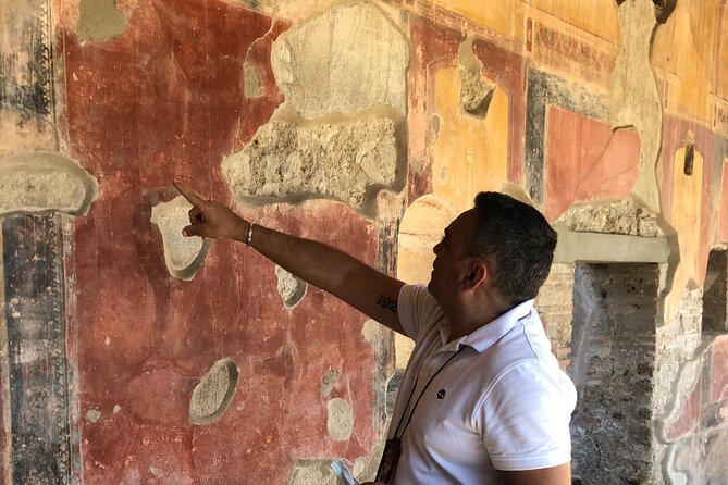 Pompei three hours with an expert guide - Classic parts plus a note on newly discovered areas