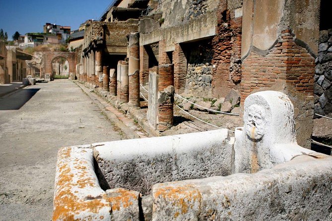 Pompeii 2 h guided tour - Skip-the-line Priority Access - Meeting at Ristorante Suisse: Where to Go and How to Avoid Stress