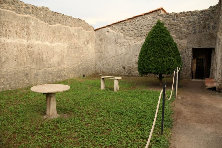 Pompeii 2-Hour Private Tour - How guides like Stefano and Antonietta change the whole visit