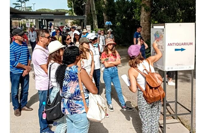 Pompeii 2 hours Private guided tour, A JOURNEY THROUGH THE TIME - Timing, Walking, and Comfort: The Real Stuff to Plan