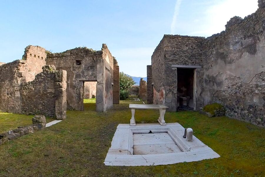 Pompeii: 2 Hours Skip the Line Visit with a Licensed Guide - Pompeii in 2 Hours: What the Skip-the-Line Deal Really Buys You